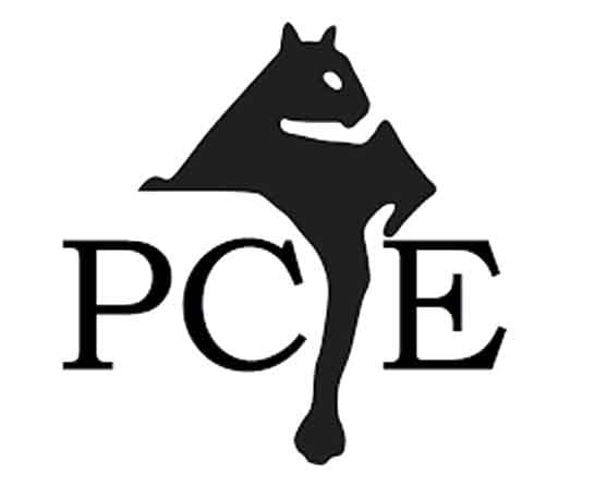 Panther Creek Estates Frisco community logo